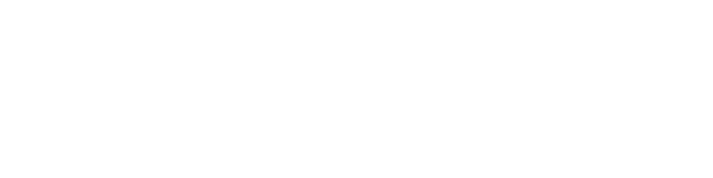 The Crypto Chicago